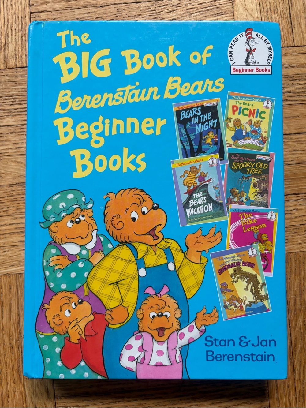 Dr. Seuss The BIG Book of  Berenstein Bears Beginners Books Kids Reading Book